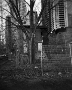 100-1-Montreal-2022-Ilford-Lady-Grey-400_M103_1abandoned-Mtl